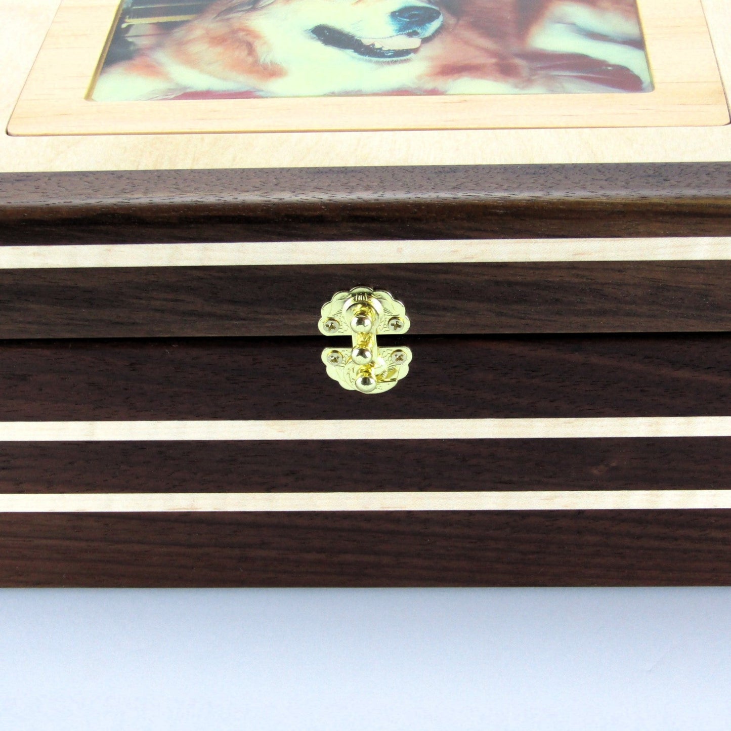 Inlays on pet memory box with photo lid handmade from Peruvian walnut and curly maple by A Finer Cut Wood.