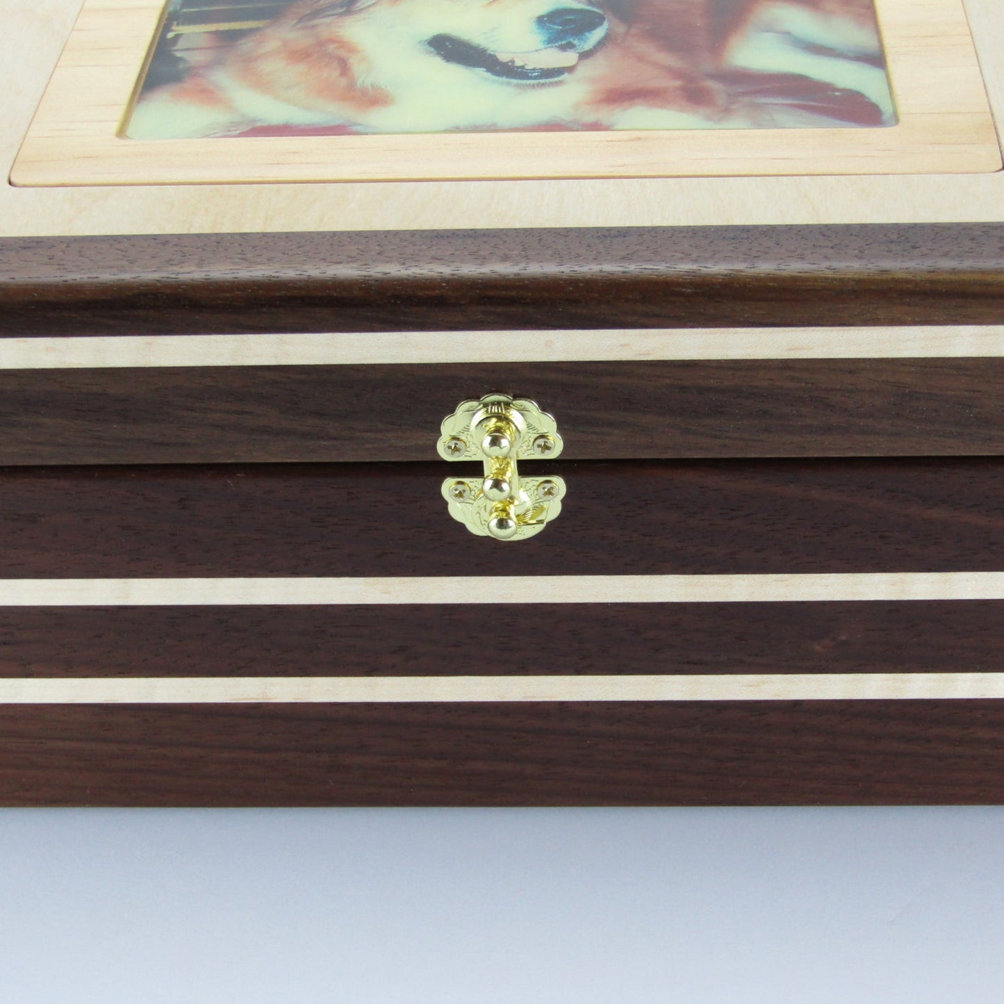 Inlays on pet memory box with photo lid handmade from Peruvian walnut and curly maple by A Finer Cut Wood.