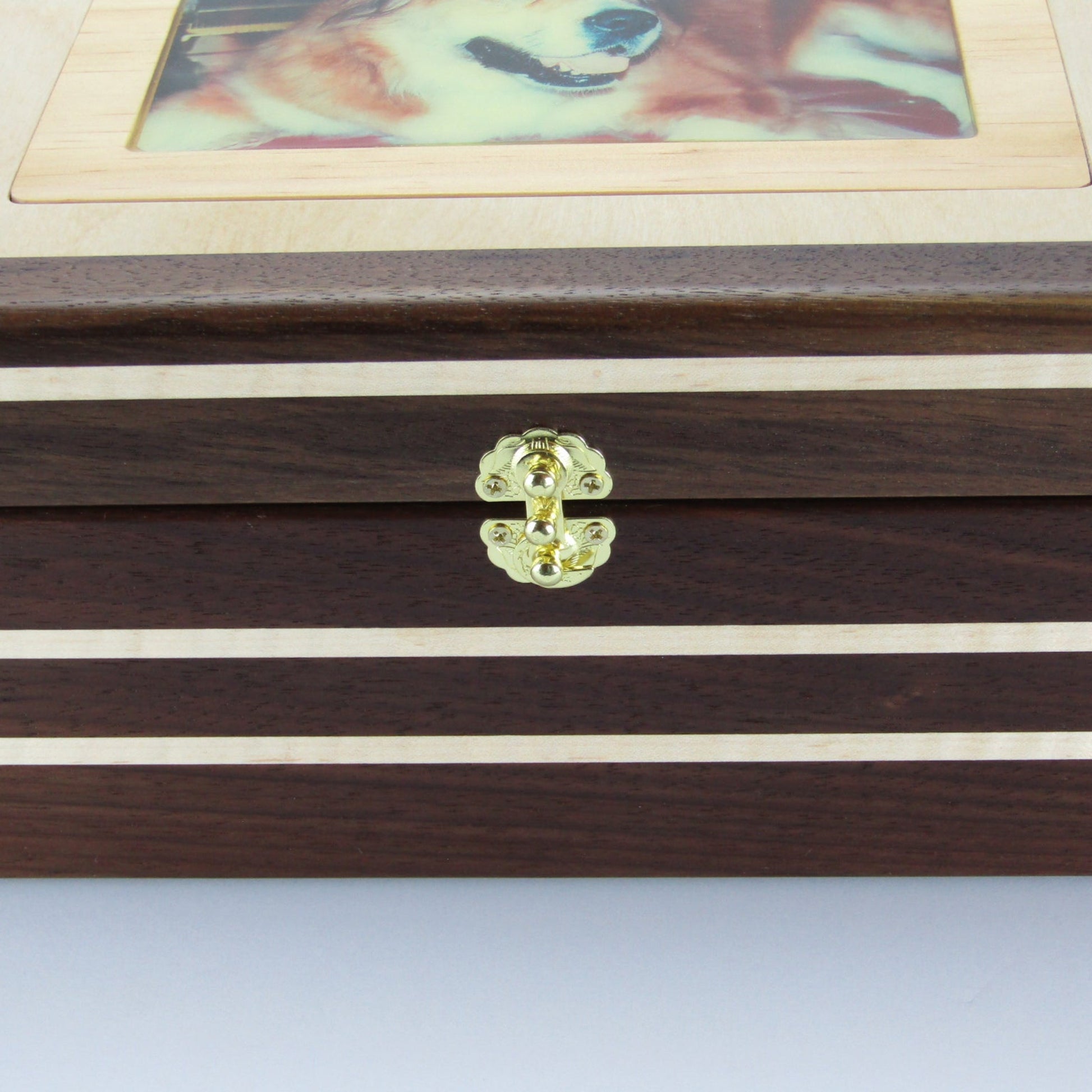 Inlays on pet memory box with photo lid handmade from Peruvian walnut and curly maple by A Finer Cut Wood.