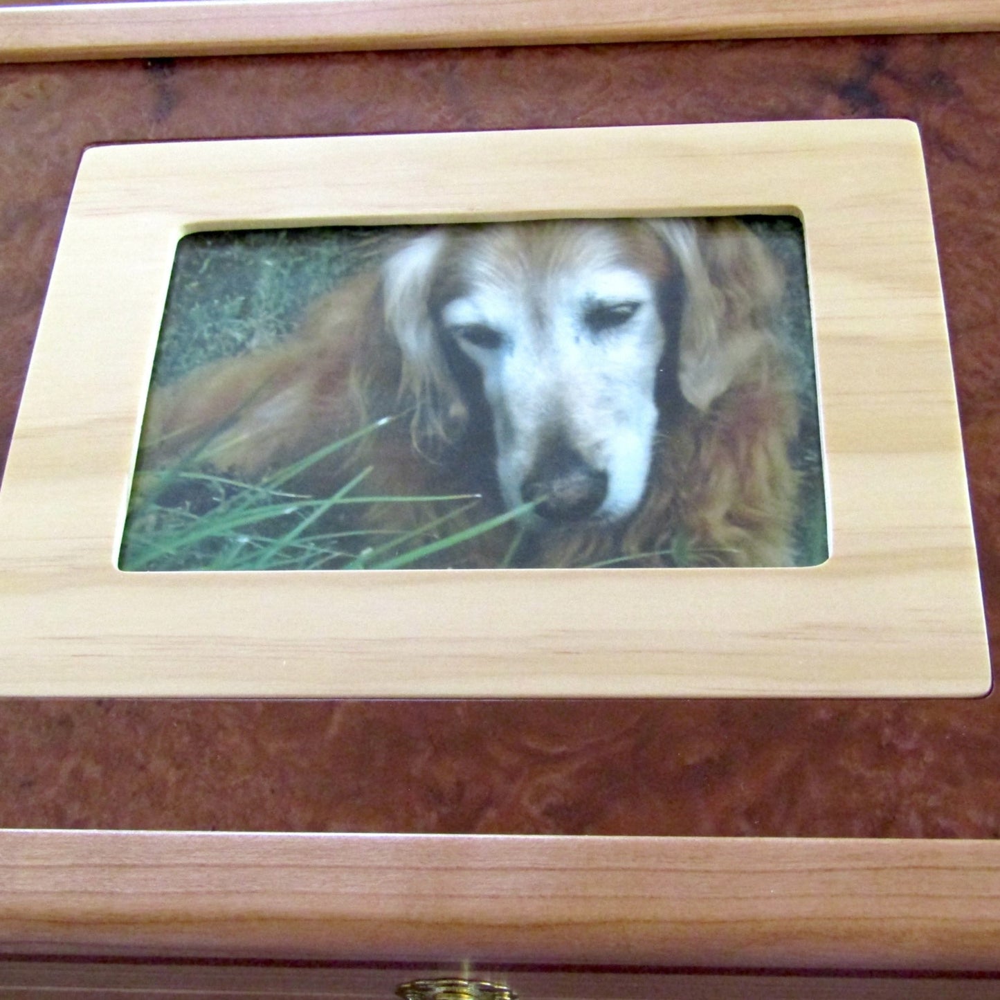 Replaceable photo frame for pet memory box with photo lid handmade from Peruvian walnut and curly maple by A Finer Cut Wood.